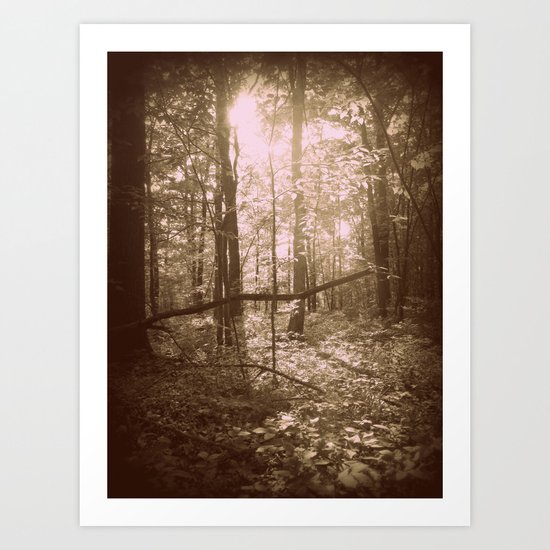 There's Something Magical About Trees Art Print