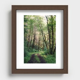 Walk In The Woods Recessed Framed Print