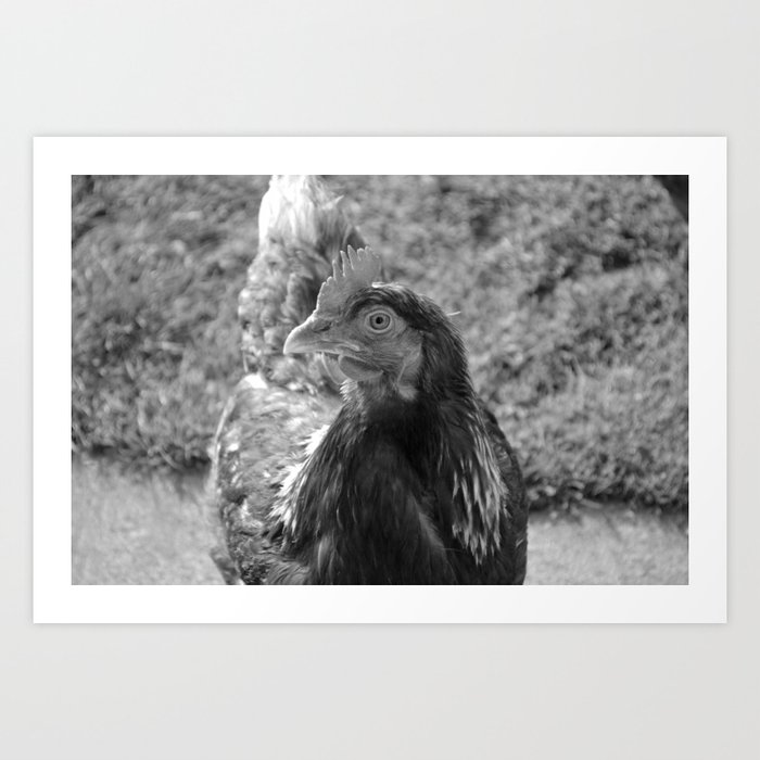 grayscale chicken (Ethel) Art Print