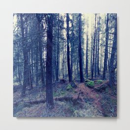  Misty Winter Woods of the Scottish Highlands Metal Print