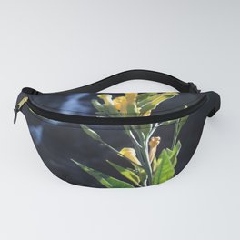 Waterfall Fanny Pack