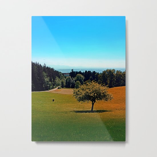 Another lonely tree in summer Metal Print