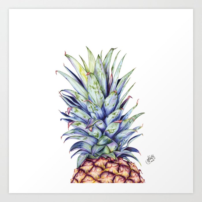 pineapple drawing Art Print