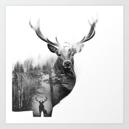 Deer in the woods Art Print