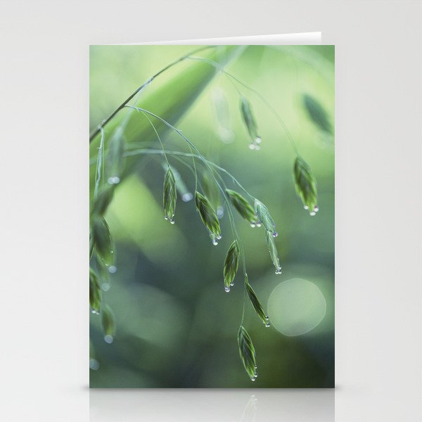 dew drop morning Stationery Cards