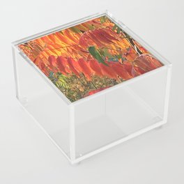 Fall colors,Niagara Falls,Canada Acrylic Box