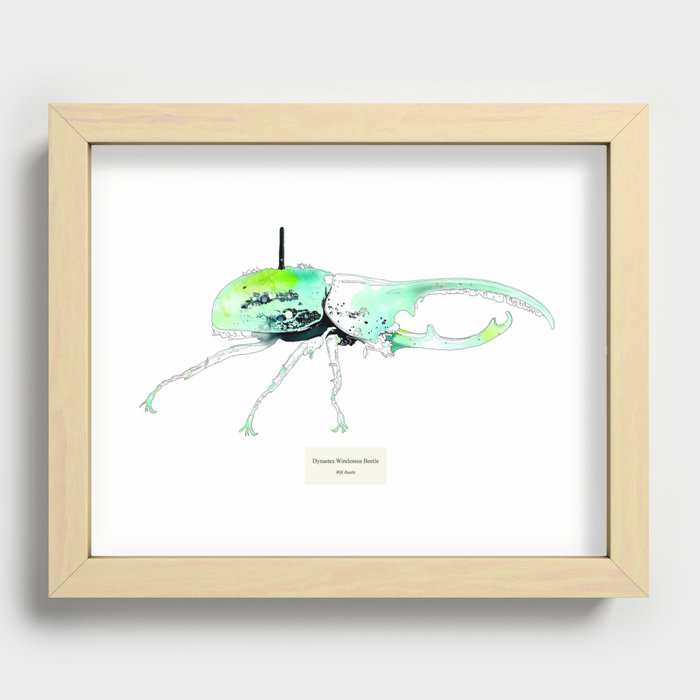 Dynastes Wirelessus Beetle Recessed Framed Print