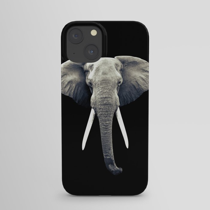 Elephant Portrait iPhone Case