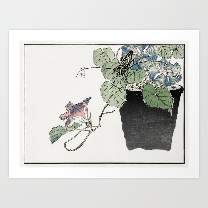 Japanese paper cutter beetle illustration from Churui Gafu (1910) by