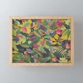 Leaf collage 1 Framed Mini Art Print