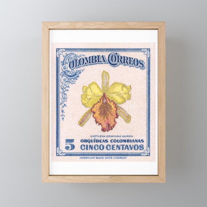 1947 COLOMBIA Cattleya Dowiana Orchid Stamp Framed Mini Art Print