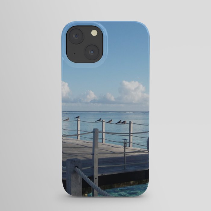 Birds looking out to sea iPhone Case