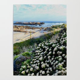 Flowers on the beach Poster