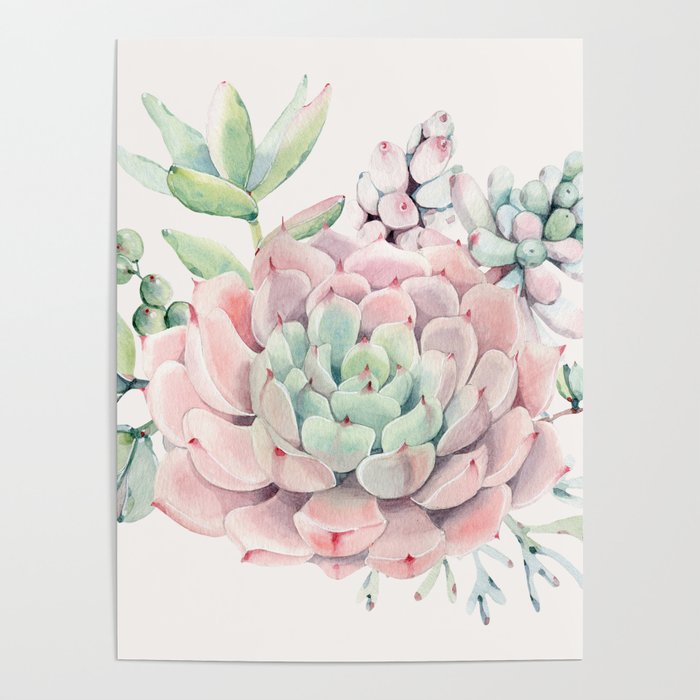 Perfect Pink Succulent Poster