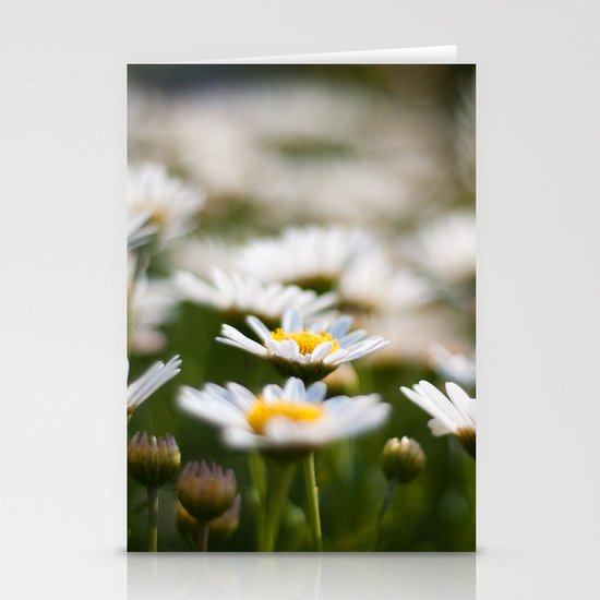 Daisy Field Stationery Cards