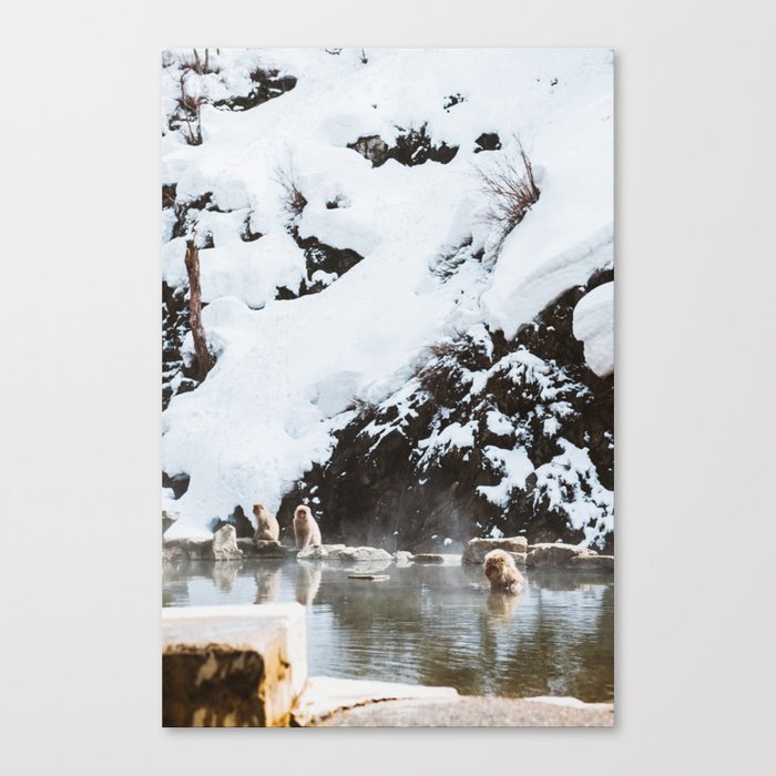Bath Time in the Hot Springs Canvas Print