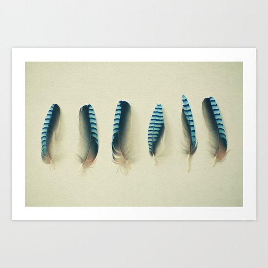 Feathers #1 Art Print