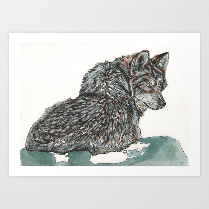 Timber Wolf Art Print