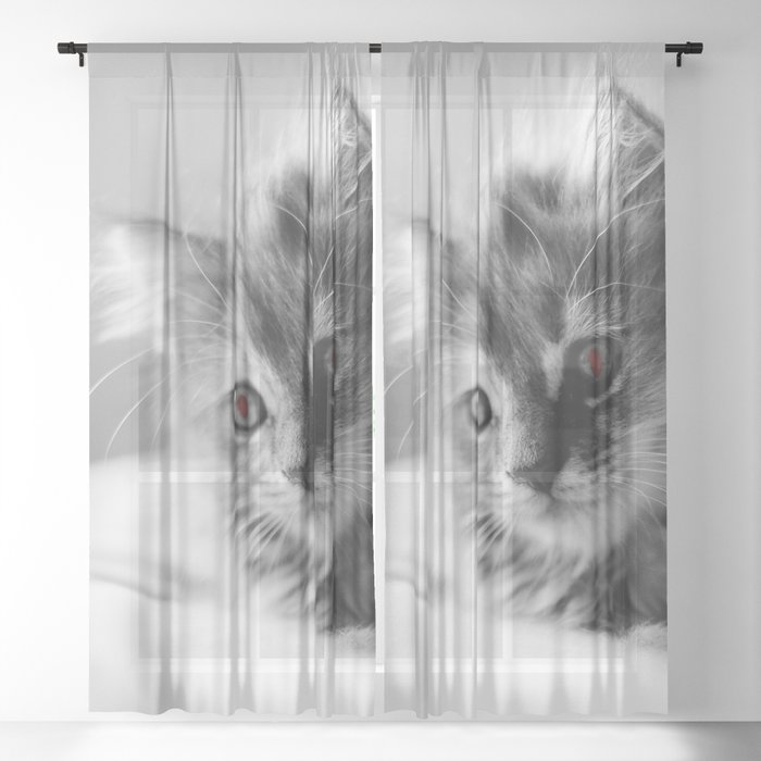 Killer Kitten Sheer Curtain