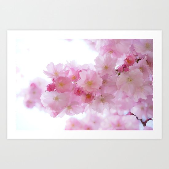 Pink Art Print