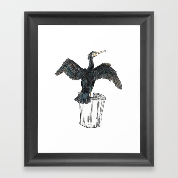 The Great Cormorant Framed Art Print