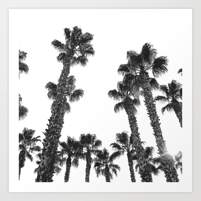 16 Palm Trees Art Print {2 of 2} Art Print