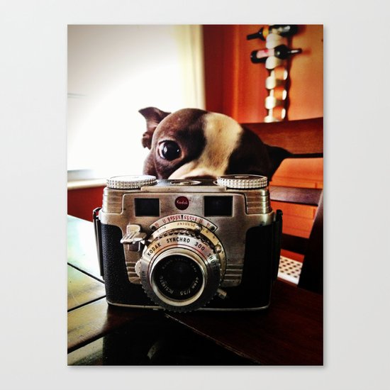 Terrier has an eye for photography Canvas Print
