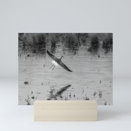 Dowitcher Flight with Shadow Mini Art Print