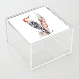 Red bellied woodpecker watercolor Acrylic Box