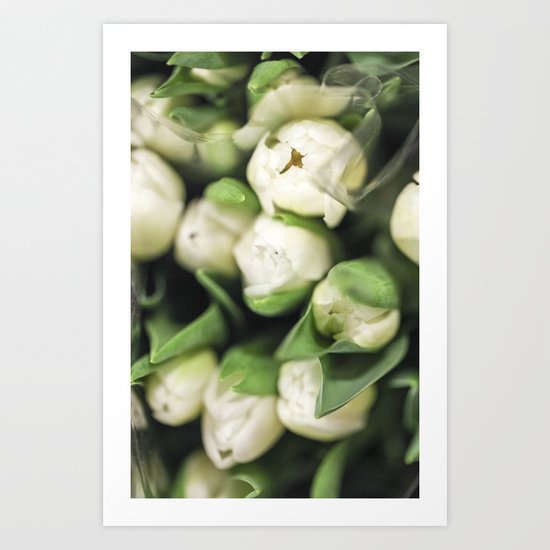 White Tulip Bokeh Art Print