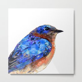 Little Bluebird Art Blue Bird Artwork Metal Print