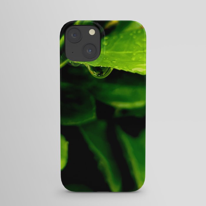 Drops of life iPhone Case