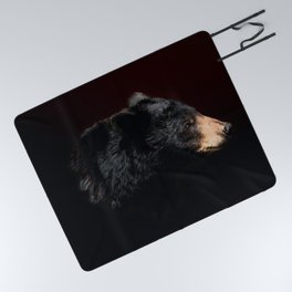 Young Black Bear Portrait Picnic Blanket