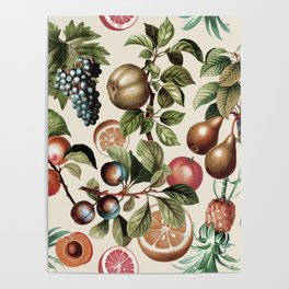 Fruitful Florals, Vintage Prints Food Poster