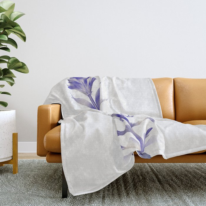 City chic throw 2025 blanket