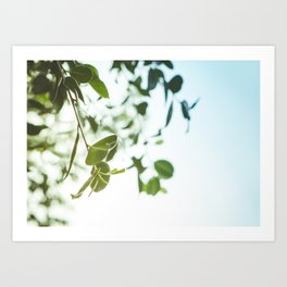 Nature photography green leaf I Art Print