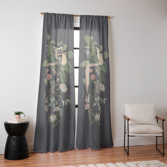 Window Curtain