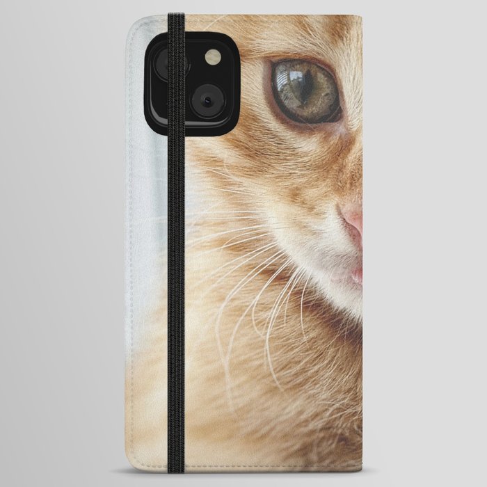 Kitten iPhone Wallet Case