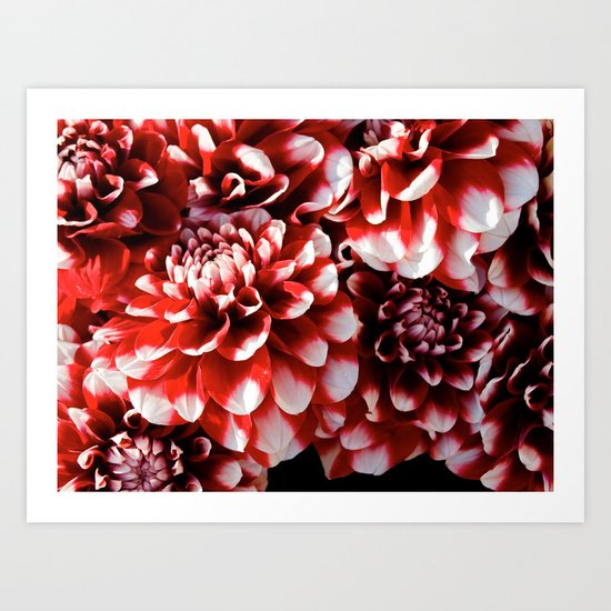 DAHLIA Art Print