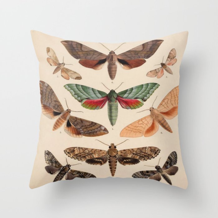 Vintage Natural History Moths Throw Pillow