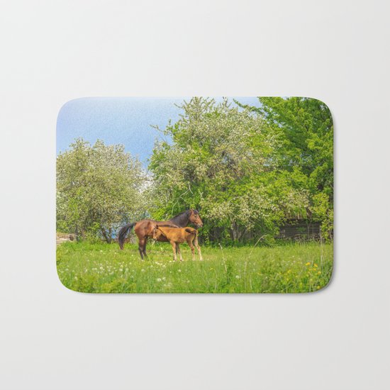 Foal Horse Baby Bath Mat