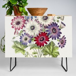 Colorful Chrysanthemums Credenza