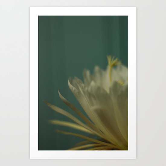 White Art Print