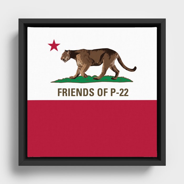 P22 Mountain Lion Flag  Framed Canvas
