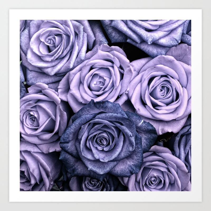 Purple Roses Floral Flowers Violet Art Print By Magic Dreams Society6