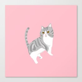 American Shorthair Mix Cat Canvas Print