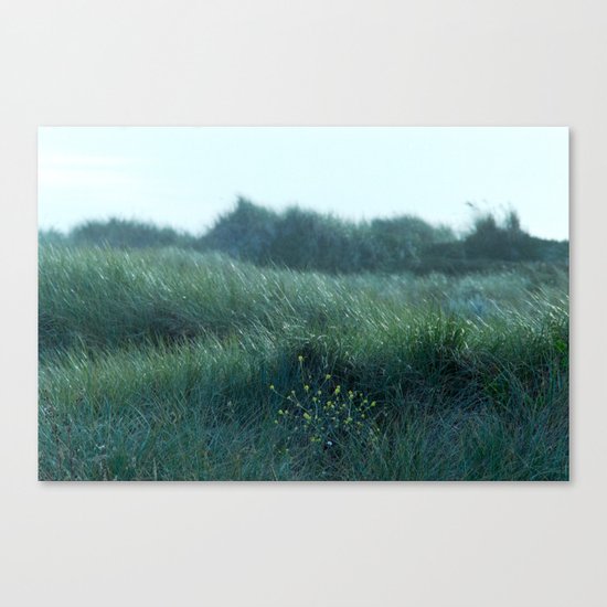 a breeze we used to know Canvas Print
