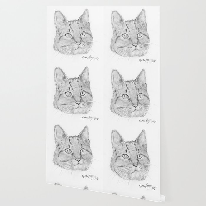 Cat Face Realistic Pencil Sketch Drawing Wallpaper By Kyokobartley