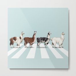Llama The Abbey Road #1 Metal Print | Beatle, Painting, Cute, Adorable, Design, Pop Art, Alpaca, Bignosework, Art, Lama 