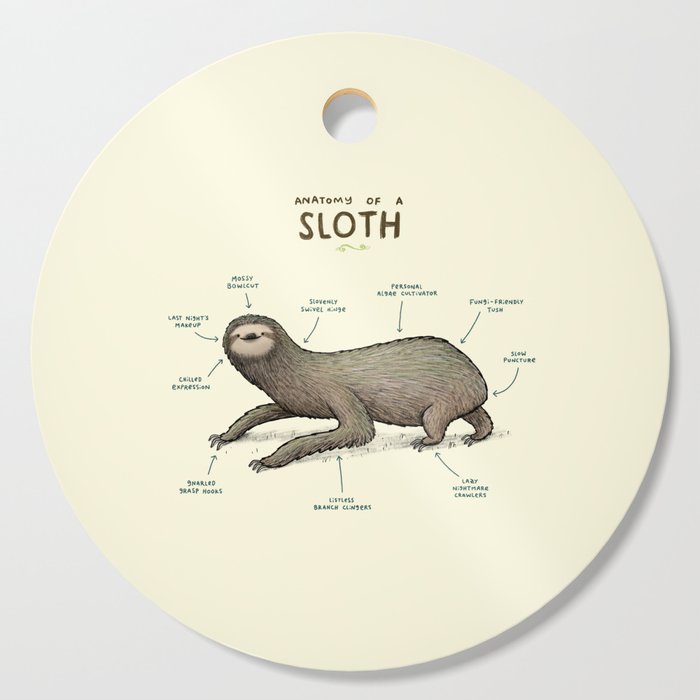 Cute Sloth shaped hook  Discover original hangers